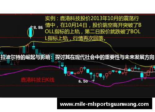 拉波尔特的崛起与影响：探讨其在现代社会中的重要性与未来发展方向